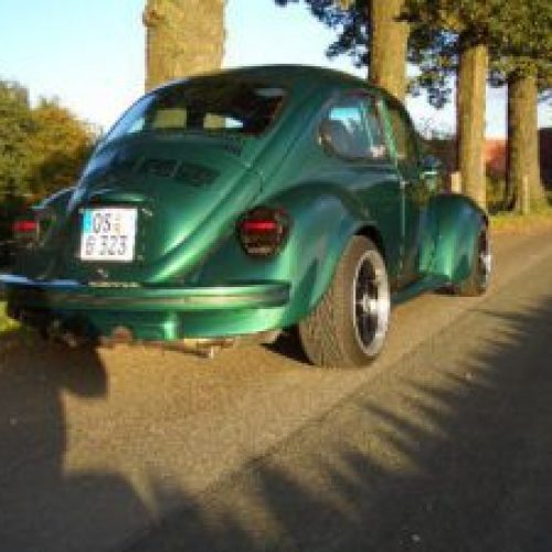 kaefergruen2-300×225